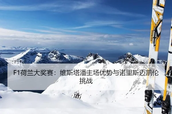 he-lan-da-jiang-sai-wei-si-ta-pan-zhu-chang-you-shi-yu-nuo-li-si-mai-kai-lun-tiao-zhan-3-722.jpg