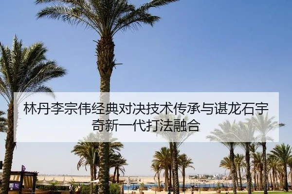 林丹李宗伟经典对决技术传承与谌龙石宇奇新一代打法融合